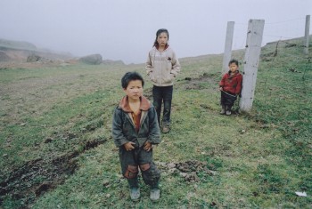 yunnan-campagne.jpg